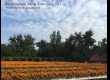 พาเที่ยว จิมทอมสัน ฟาร์ม 2557 (Jim Thompson Farm) สวนดอกไม้สวยๆ ปักธงชัย นครราชสีมา 